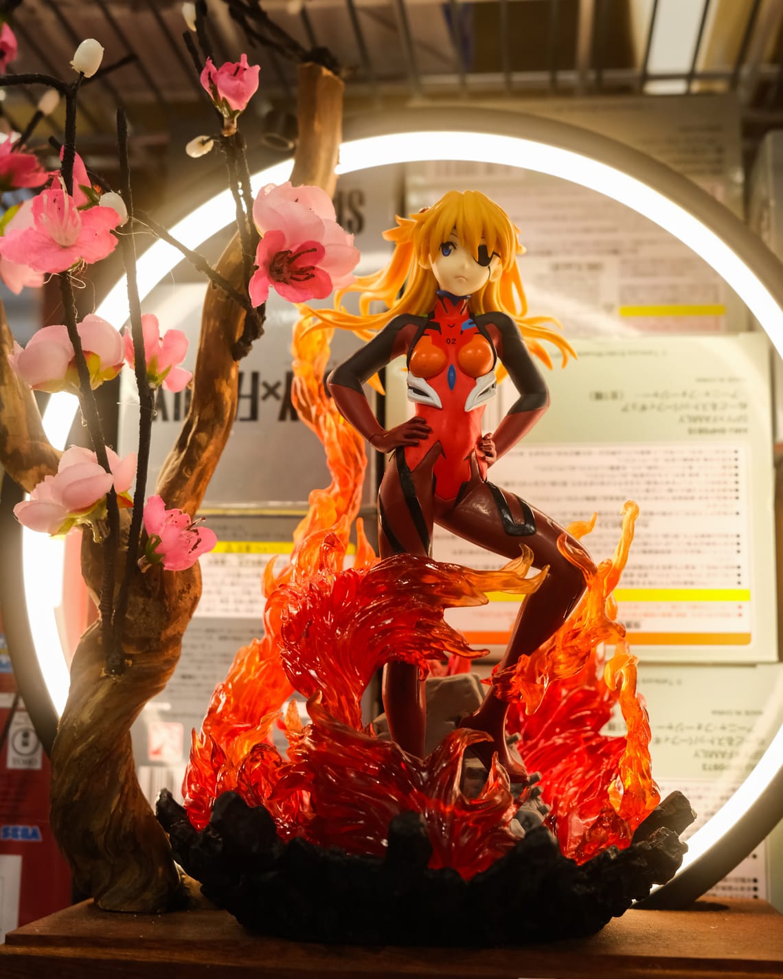 An Asuka I found in the wild