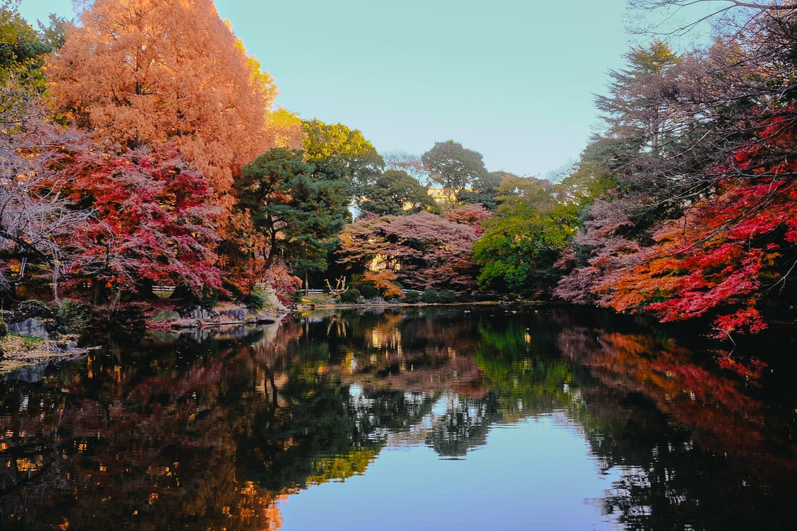 Playing with colors in Shinjuku Gyoen