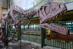 A T-Rex found in Costa Rica