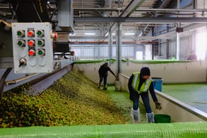 A hard day of work at the Hop Farm