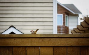 One of my birder shots